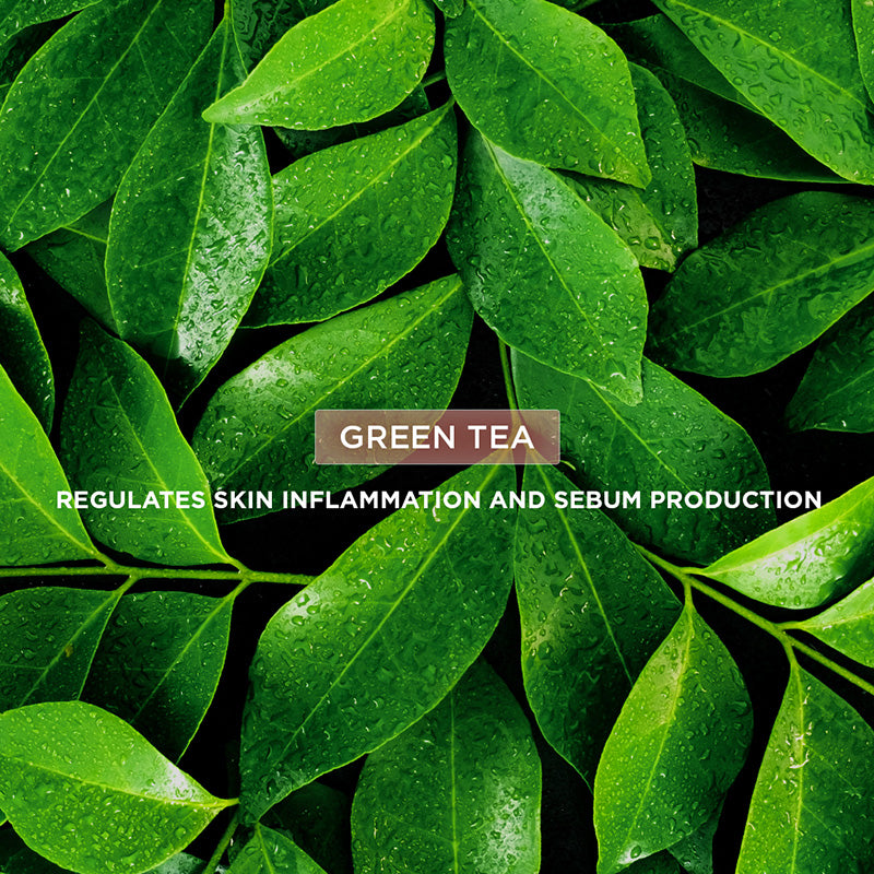 Green Tea Matte Finish Moisturizer